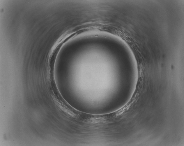 X0000080760150200612151418