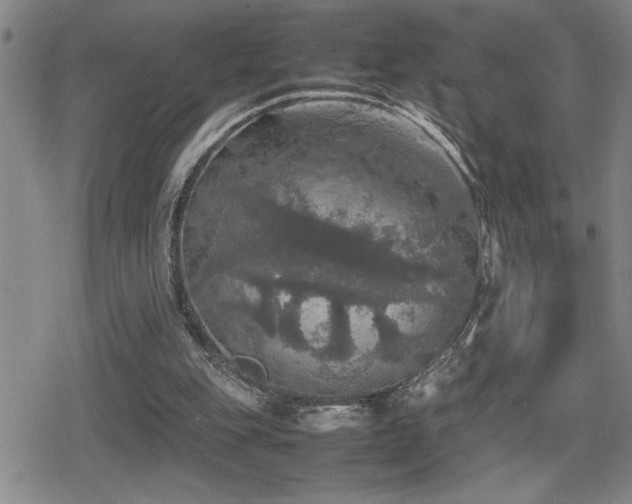 X0000080760151200612151418