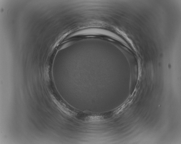 X0000080760154200612151418