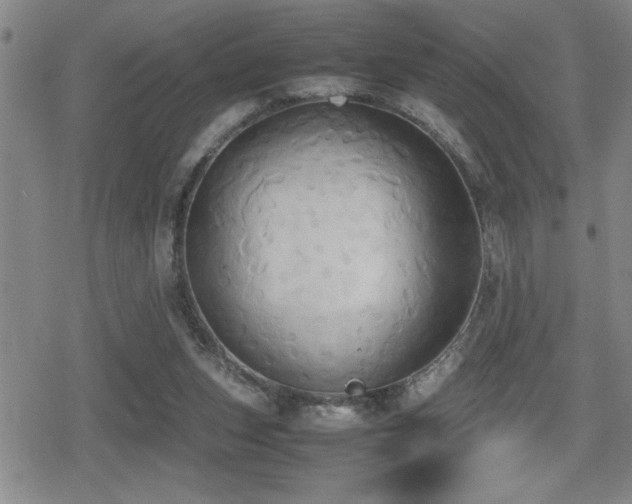 X0000080760159200612151418