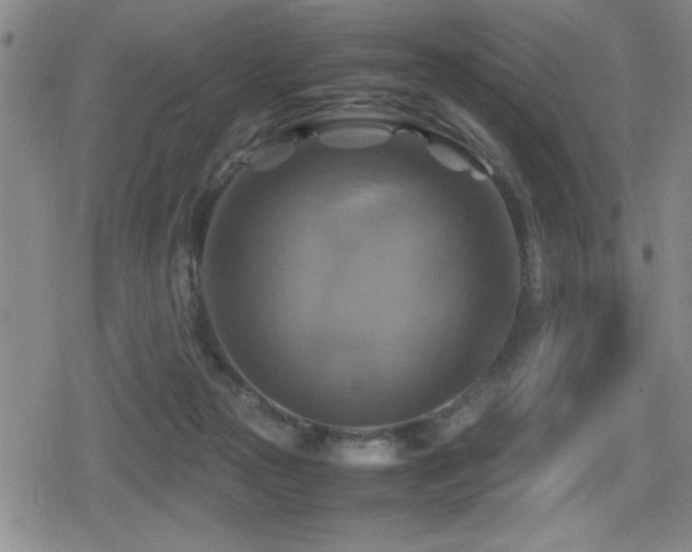 X0000080760169200612151418