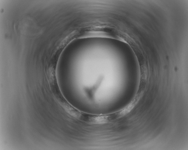 X0000080760184200612151419