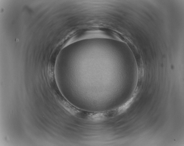 X0000080760186200612151419