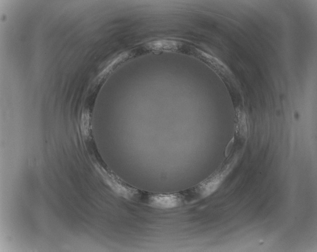 X0000080760189200612151419