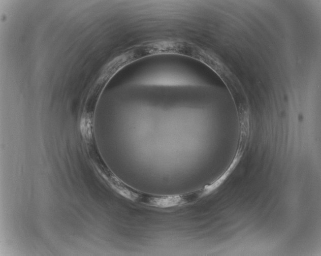 X0000080760191200612151419