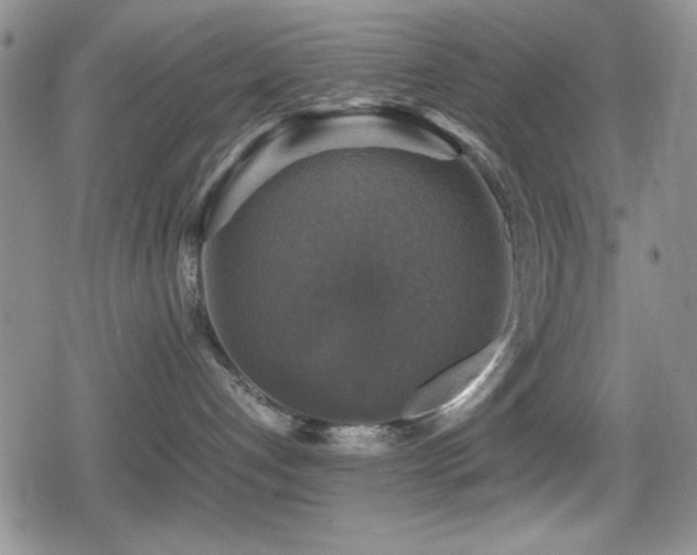 X0000080760192200612151419