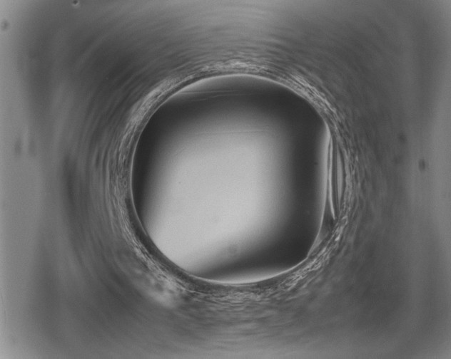 X0000080760193200612151418
