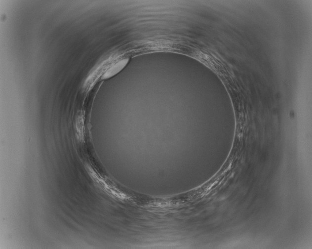 X0000080760194200612151418