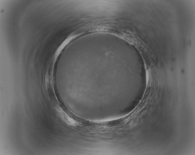 X0000080760195200612151418