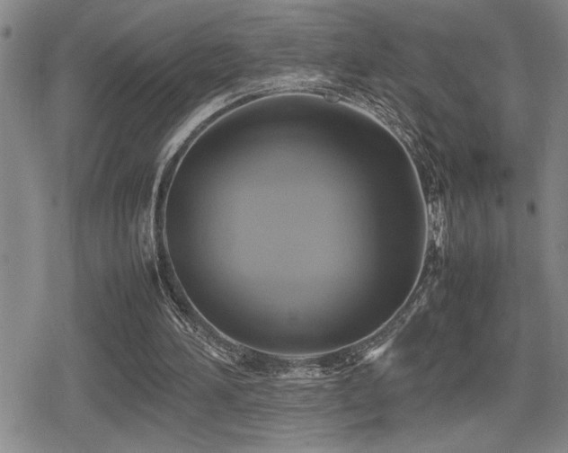 X0000080760196200612151418