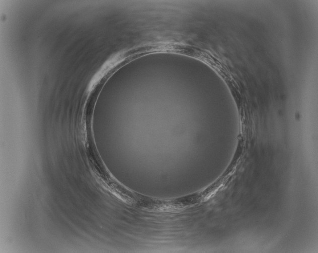 X0000080760198200612151418