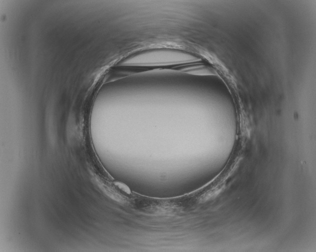 X0000080760201200612151418