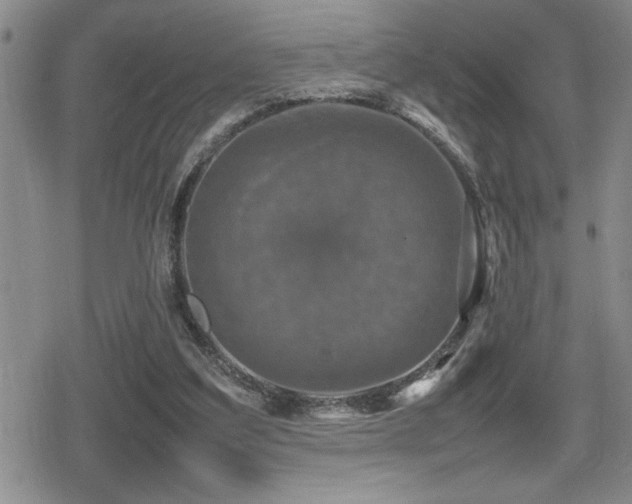 X0000080760203200612151418