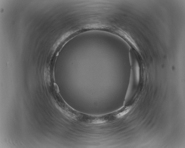 X0000080760204200612151418