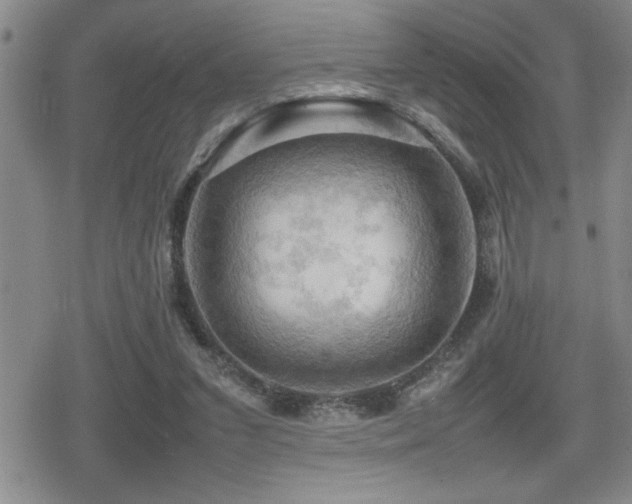 X0000080760207200612151418
