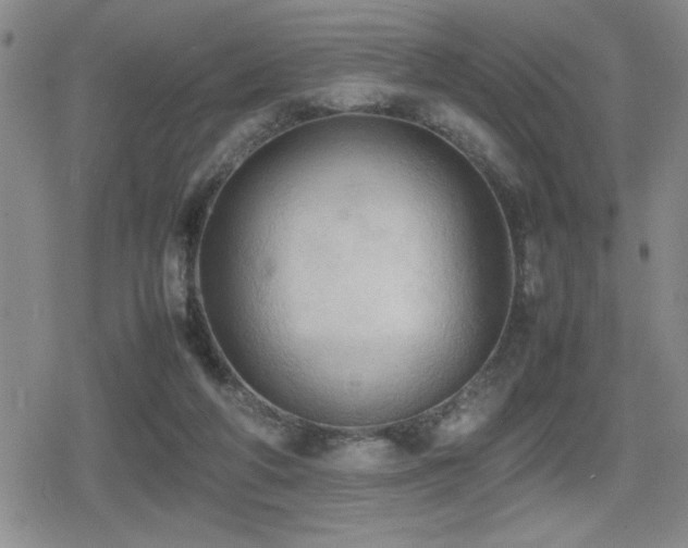 X0000080760210200612151418