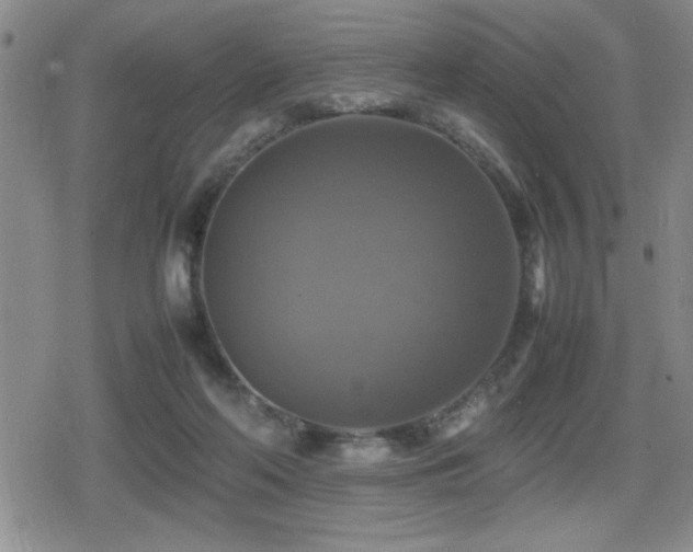 X0000080760214200612151418