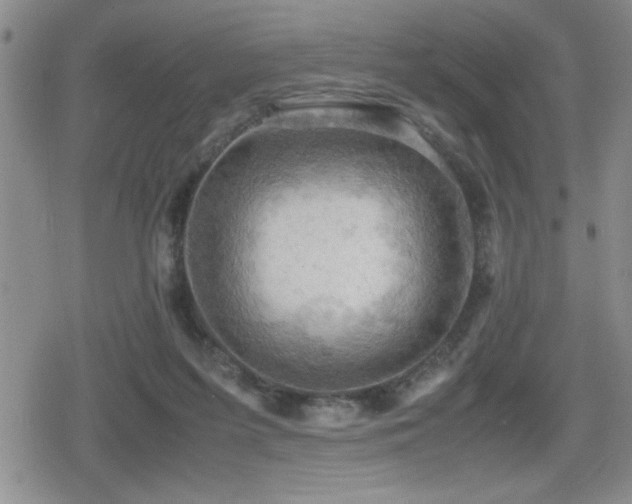 X0000080760215200612151418