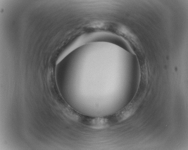 X0000080760225200612151417