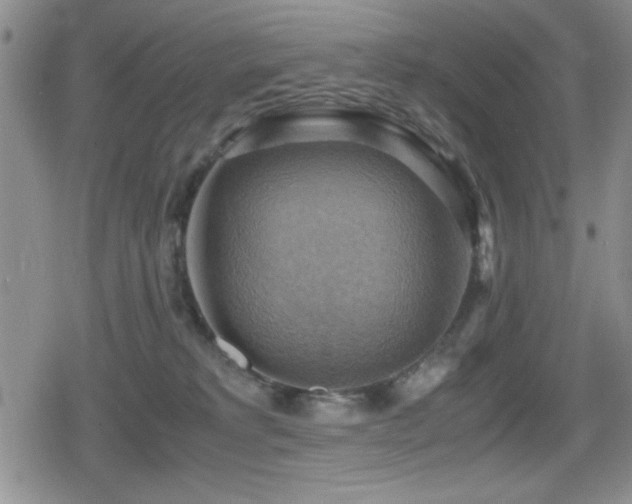 X0000080760229200612151417