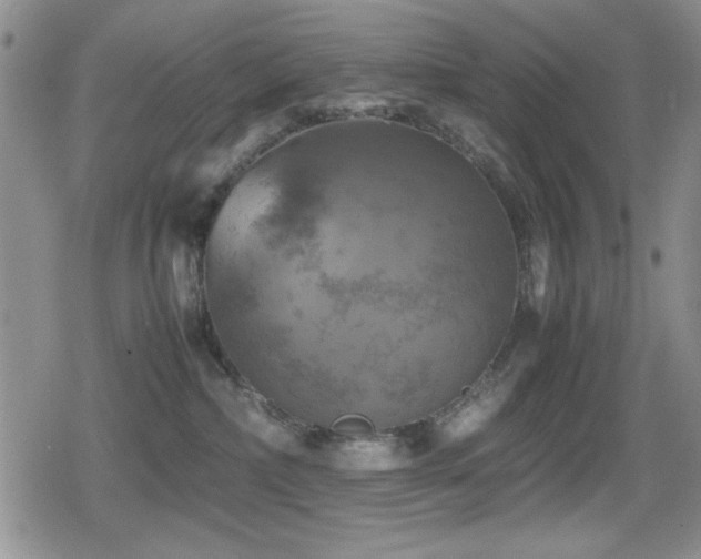 X0000080760236200612151417