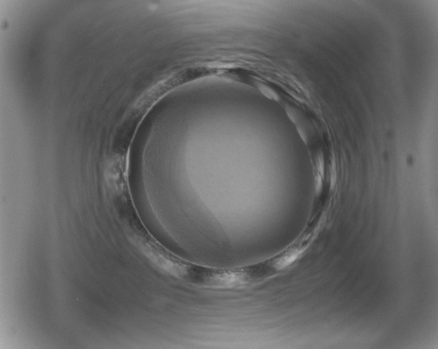 X0000080760237200612151417