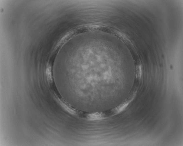 X0000080760238200612151417