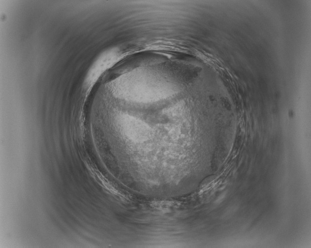X0000080760242200612151416