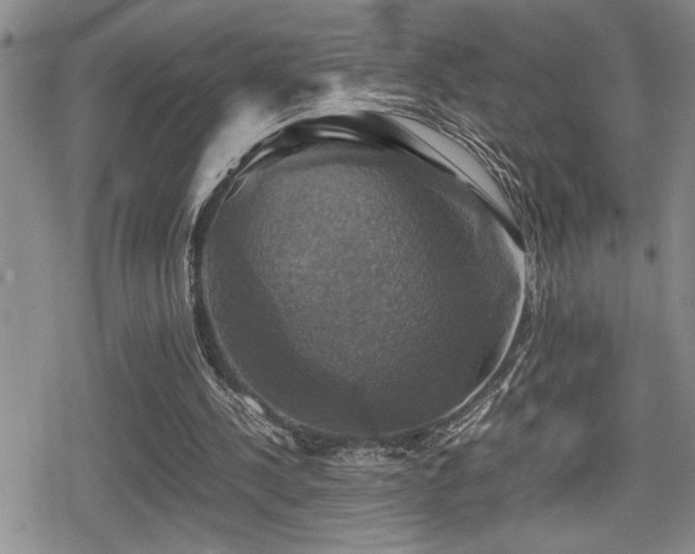 X0000080760244200612151416