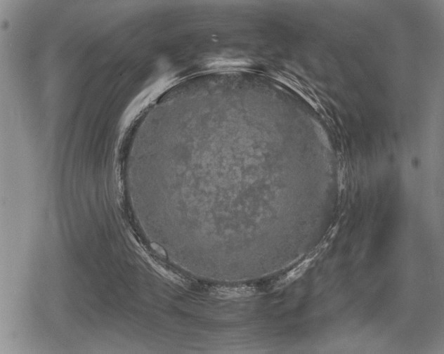 X0000080760245200612151416