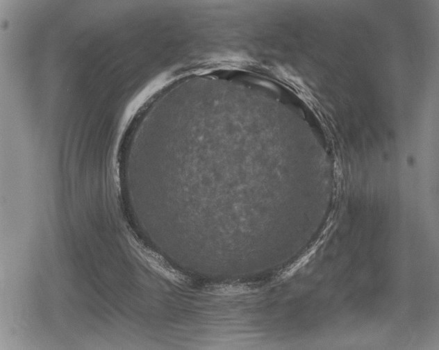 X0000080760246200612151417