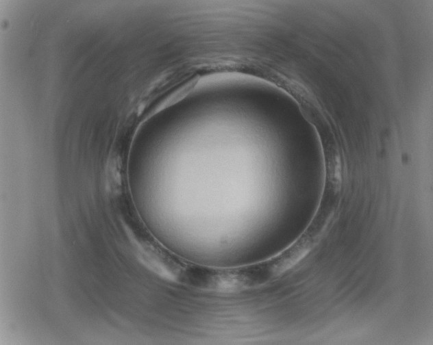 X0000080760264200612151417
