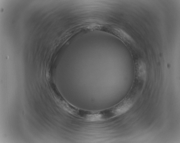X0000080760266200612151417