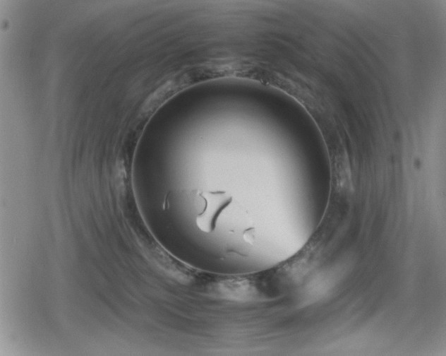 X0000080760279200612151417