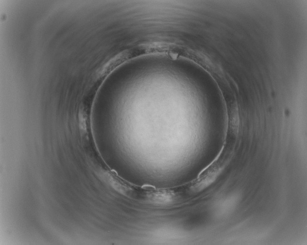 X0000080760282200612151417
