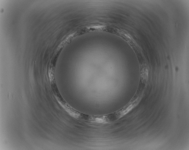 X0000080760285200612151417