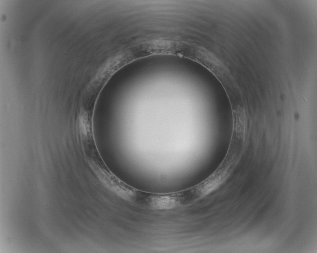 X0000080760287200612151417