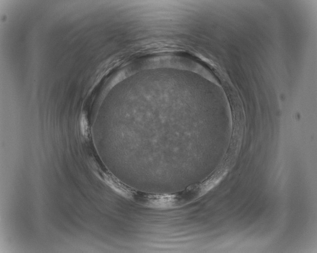X0000080760288200612151417