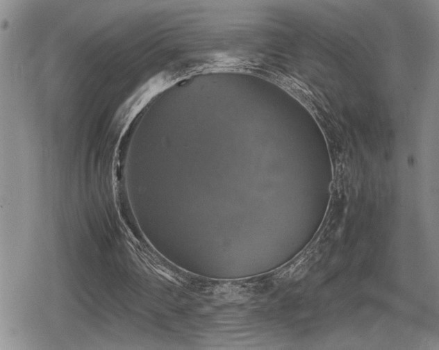 X0000080760290200612151416