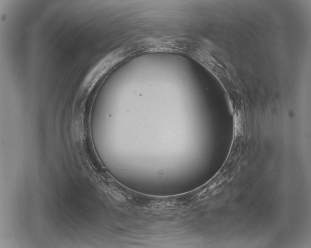 X0000080760291200612151416