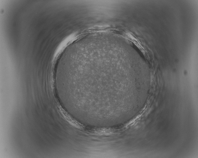 X0000080760293200612151416