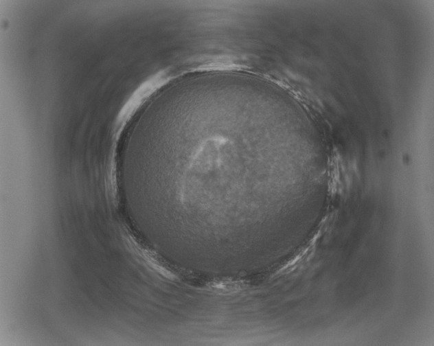 X0000080760296200612151416