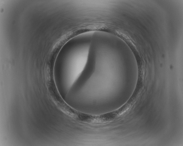 X0000080760303200612151416