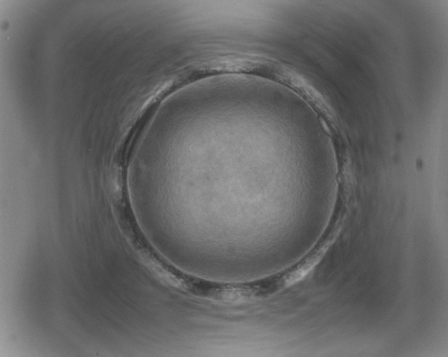 X0000080760305200612151416
