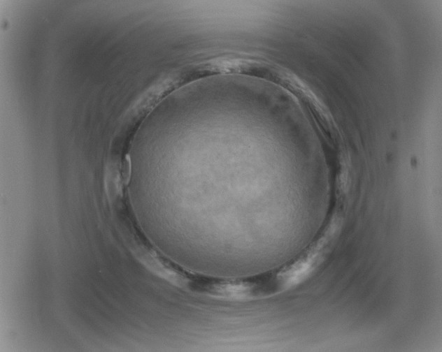 X0000080760313200612151416