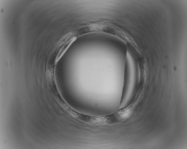 X0000080760329200612151416