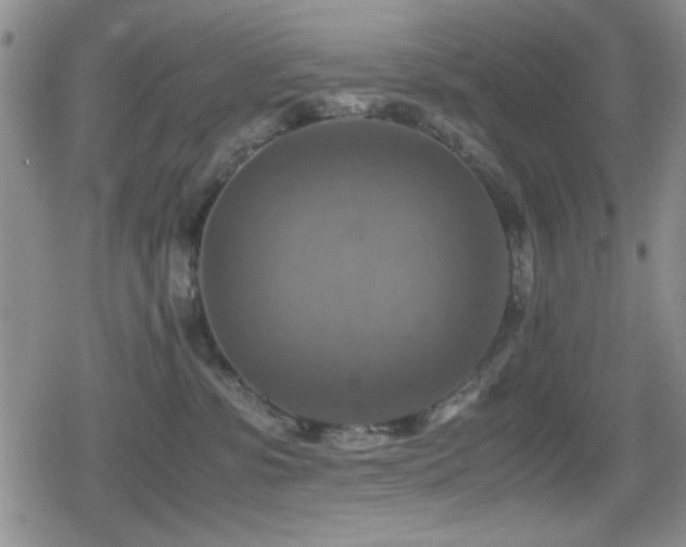 X0000080760331200612151416