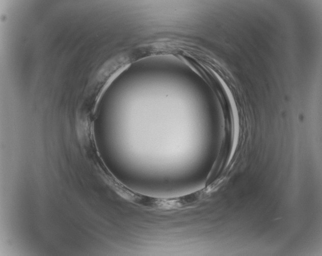 X0000080760333200612151416