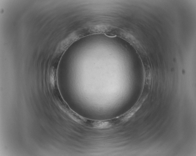 X0000080760334200612151416