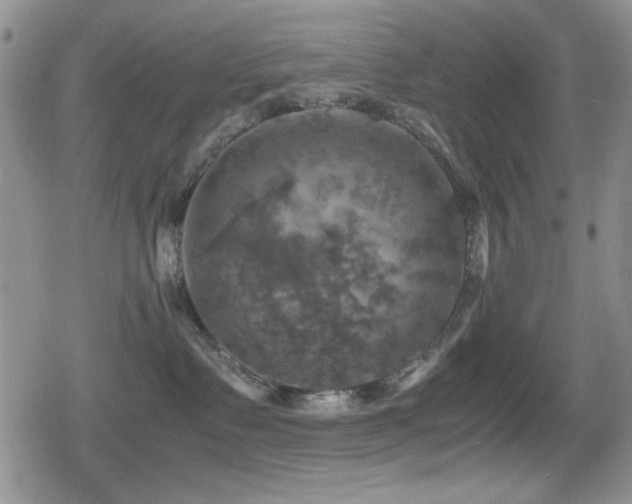 X0000080760335200612151416